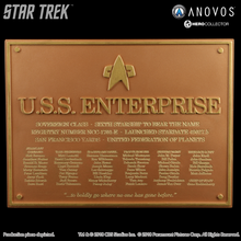 Load image into Gallery viewer, FALSE